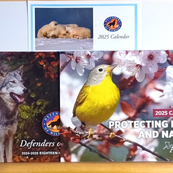 Lot of 3 Wildlife Calendars 2025 Audobon Society and Defenders of Wildlife - Picture 1 of 9